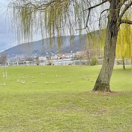 Daire Modern-gemuetliche Wohnung, Ganz Neu, In Neuenheim,