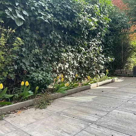 Modern-gemuetliche Wohnung, Ganz Neu, In Neuenheim, Daire Heidelberg