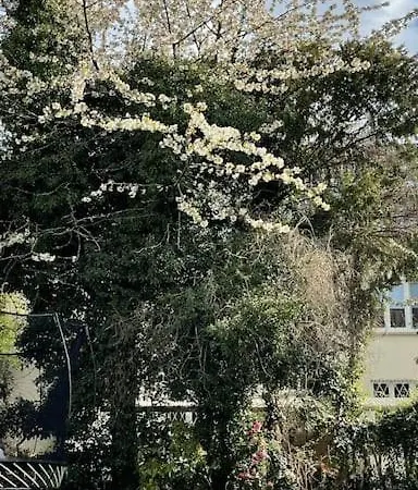 Modern-gemuetliche Wohnung, Ganz Neu, In Neuenheim,