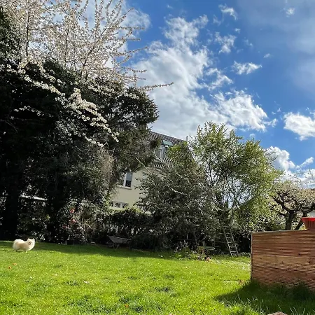 Daire Modern-gemuetliche Wohnung, Ganz Neu, In Neuenheim, *