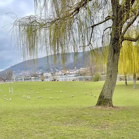 Modern-gemuetliche Wohnung, Ganz Neu, In Neuenheim, Διαμέρισμα *