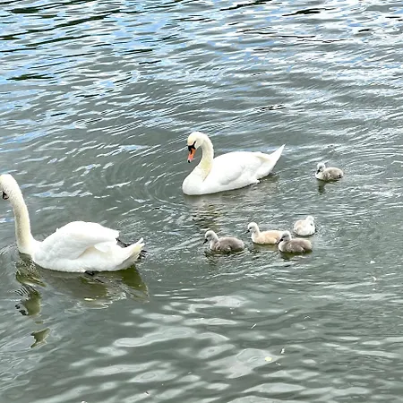 Modern-gemuetliche Wohnung, Ganz Neu, In Neuenheim,