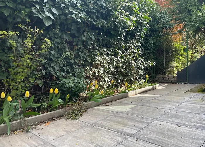 Апартаменты Modern-gemuetliche Wohnung, Ganz Neu, In Neuenheim, Хайдельберг